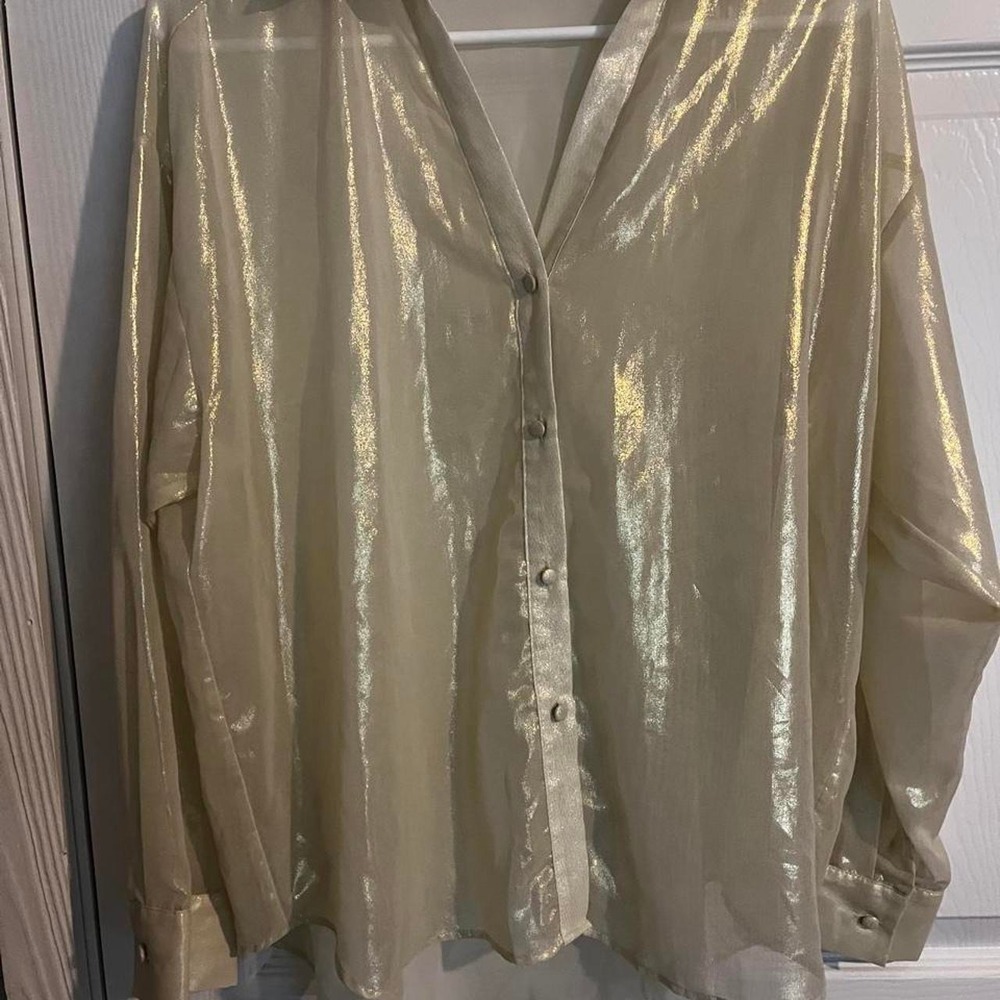 Zara Champagne Gold Metallic Sheer Button Up Blouse, High Low, Women's